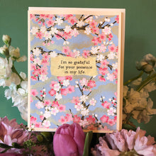 Load image into Gallery viewer, Friendship Cards