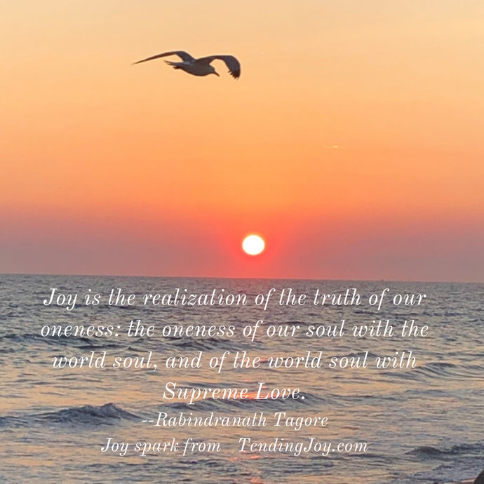 Joy is the Realization of the Truth of Our Oneness