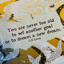 Load image into Gallery viewer, Card Bday 6 Never too old to dream
