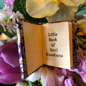Little Book of Soul Questions
